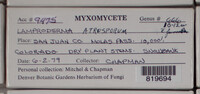 Image Associated With the Occurence